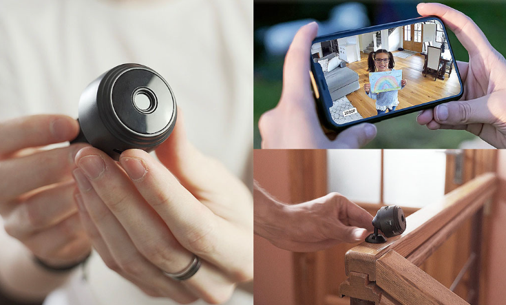 A Must-Have Dog Harness